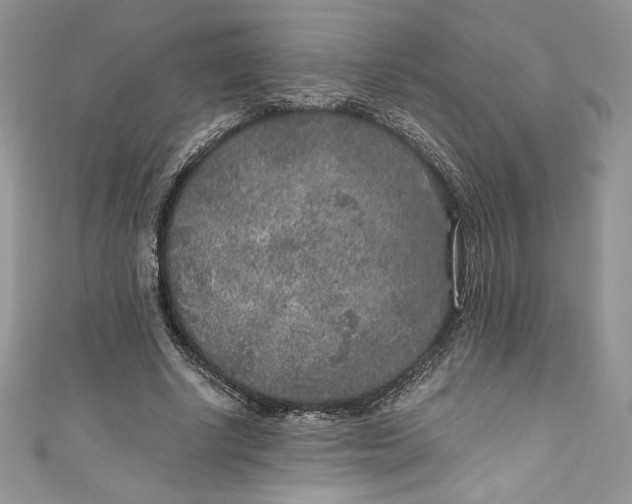 X0000111010634200907060956