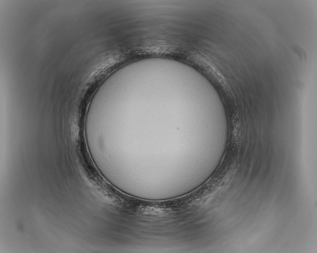 X0000111010635200907060956