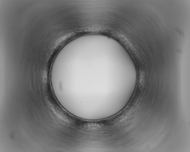 X0000111010636200907060956