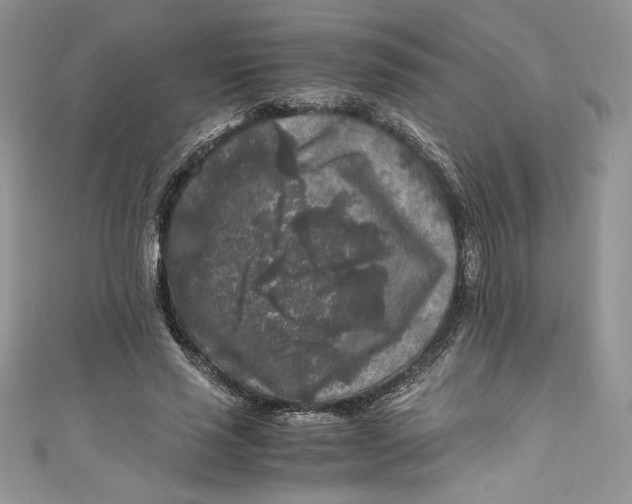 X0000111010637200907060956