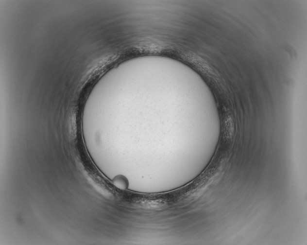 X0000111010638200907060956