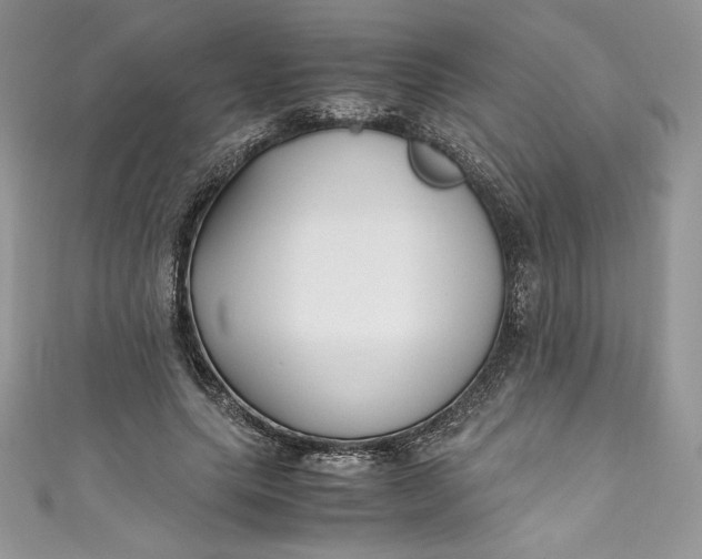X0000111010639200907060956