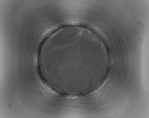 X0000111010640200907060956