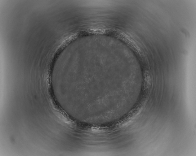 X0000111010641200907060956