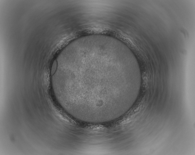 X0000111010642200907060956