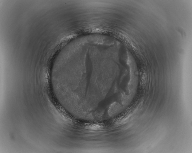 X0000111010643200907060956