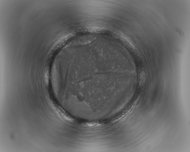 X0000111010644200907060956
