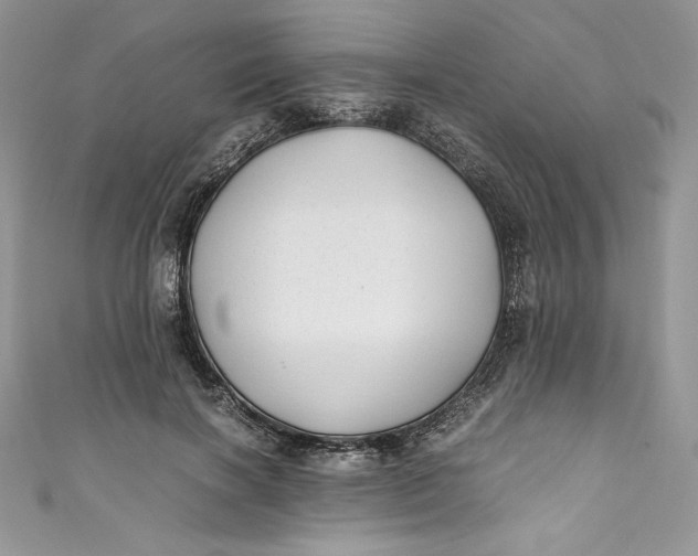 X0000111010646200907060956