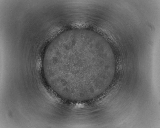 X0000111010647200907060956