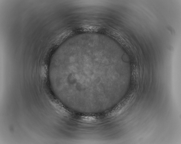X0000111010649200907060956