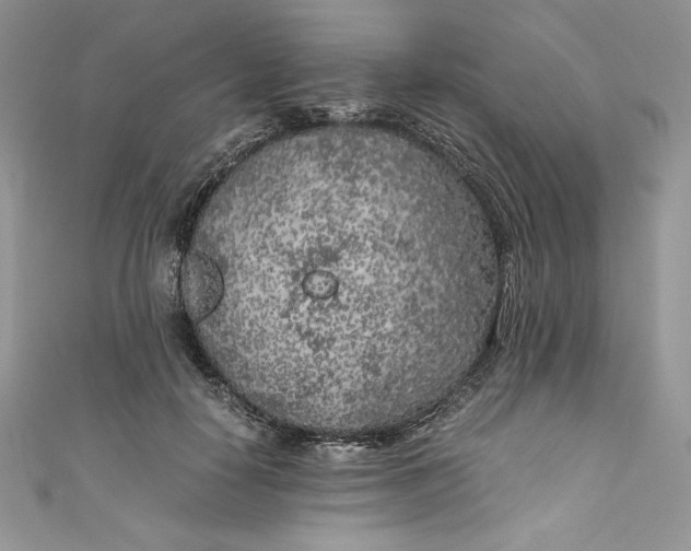 X0000111010650200907060956