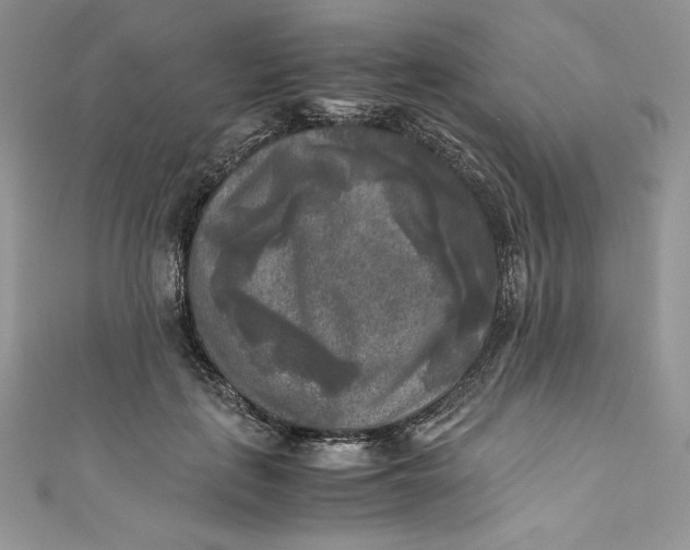 X0000111010651200907060956