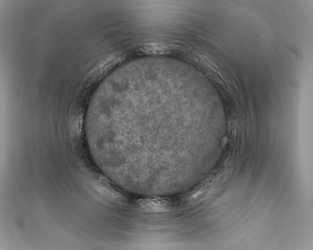 X0000111010652200907060956