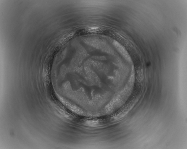 X0000111010653200907060956