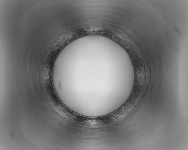 X0000111010654200907060956
