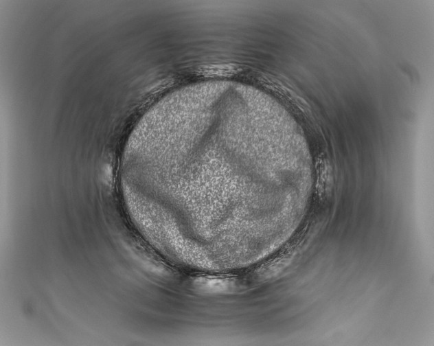X0000111010655200907060956
