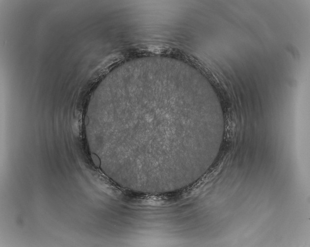 X0000111010656200907060956
