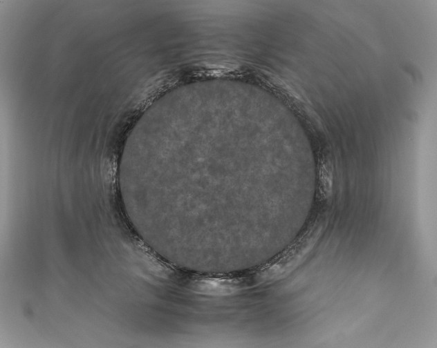 X0000111010657200907060956