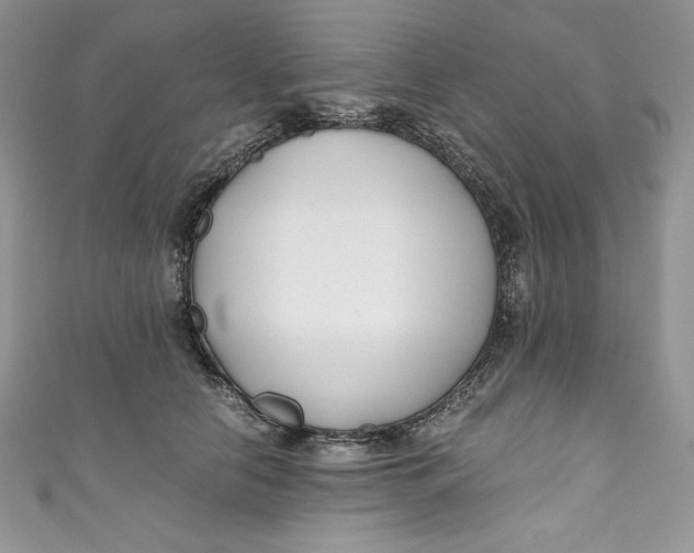 X0000111010658200907060956