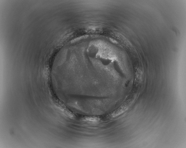 X0000111010659200907060956