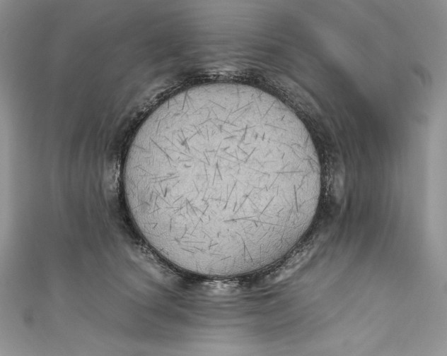 X0000111010660200907060956