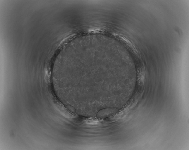 X0000111010661200907060956