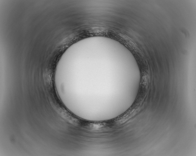X0000111010662200907060956