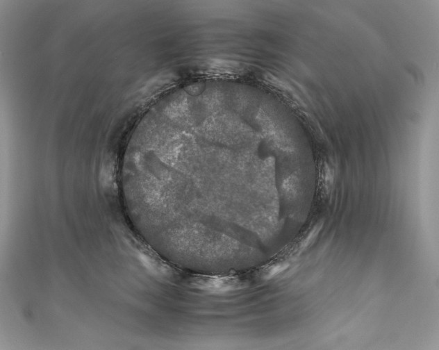 X0000111010663200907060956