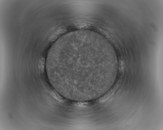 X0000111010664200907060956