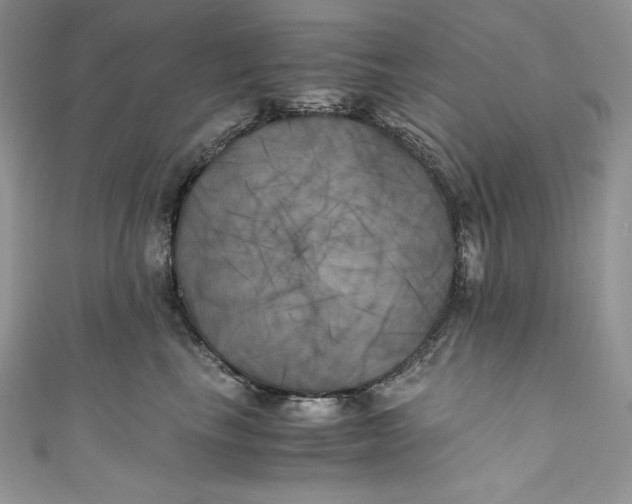 X0000111010665200907060956