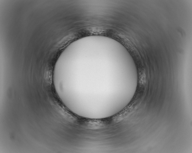 X0000111010666200907060956