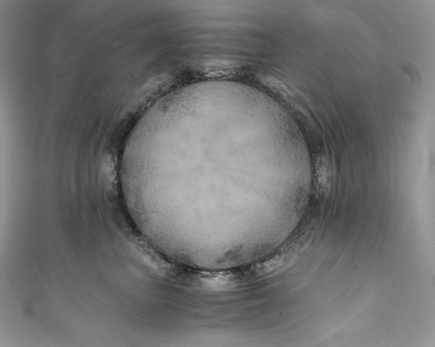 X0000111010667200907060956