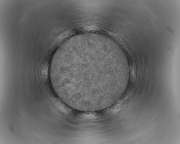 X0000111010668200907060956