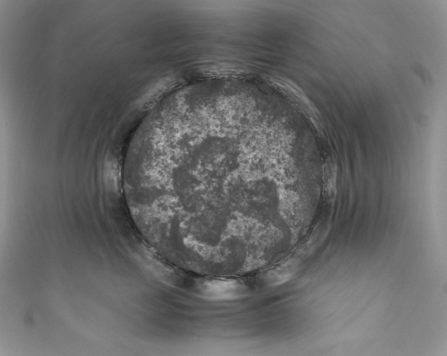 X0000111010669200907060956