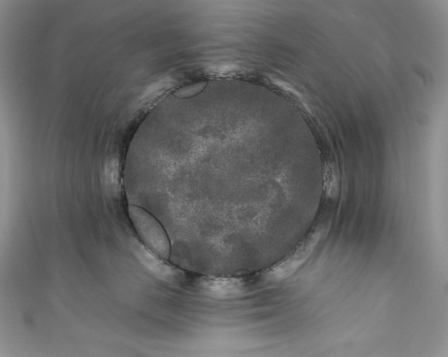 X0000111010670200907060956