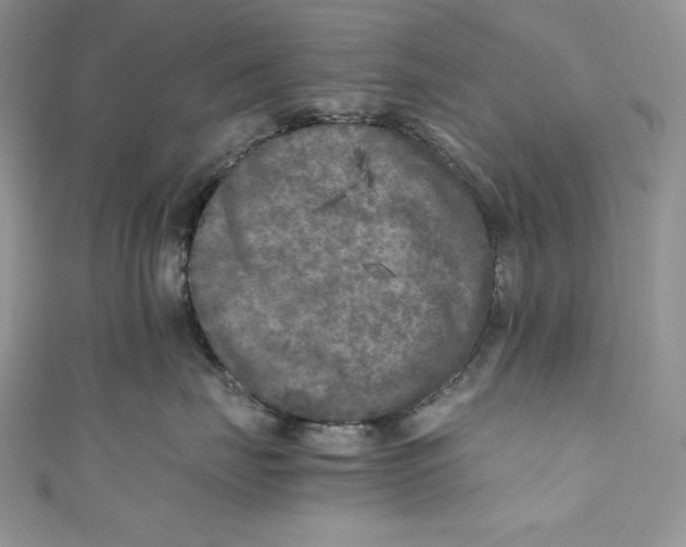 X0000111010671200907060956