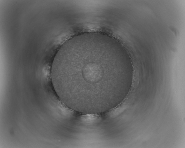X0000111010672200907060956