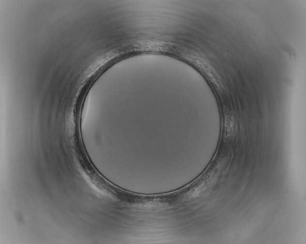 X0000111010674200907060956