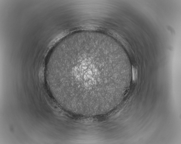 X0000111010675200907060956