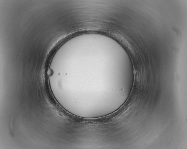 X0000111010676200907060956