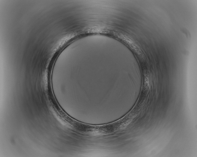 X0000111010678200907060956