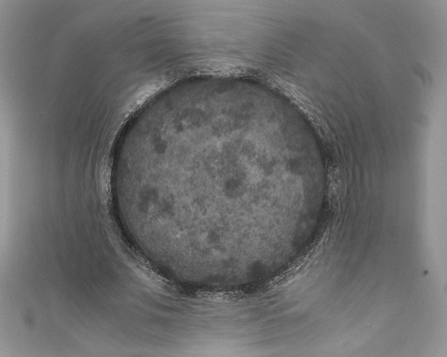 X0000111010679200907060956