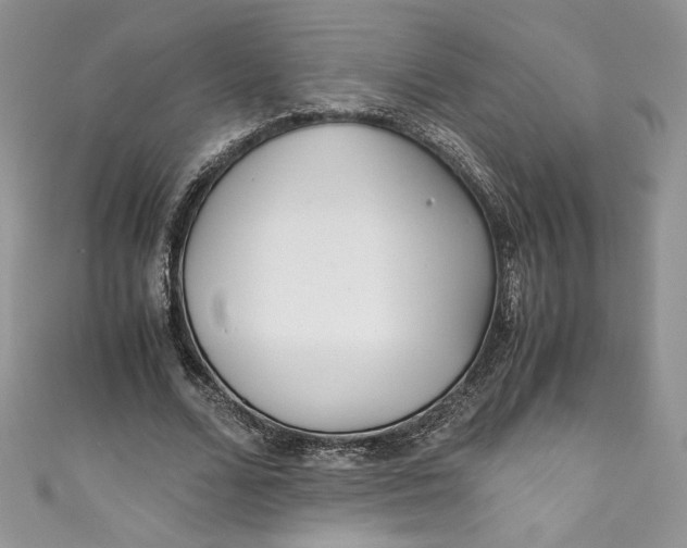 X0000111010680200907060956