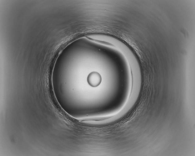 X0000111010681200907060956
