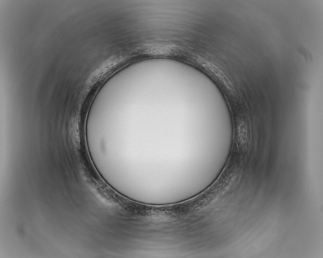 X0000111010682200907060956