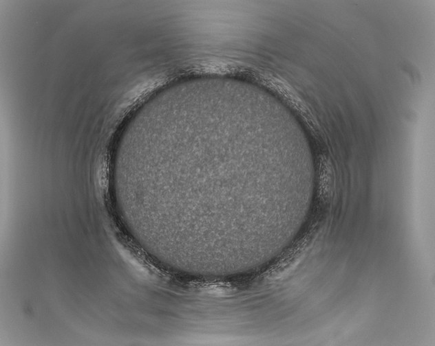 X0000111010683200907060956