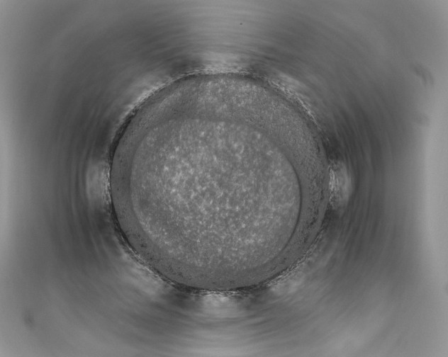 X0000111010684200907060956