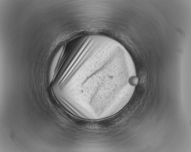 X0000111010685200907060956