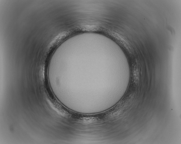 X0000111010686200907060956