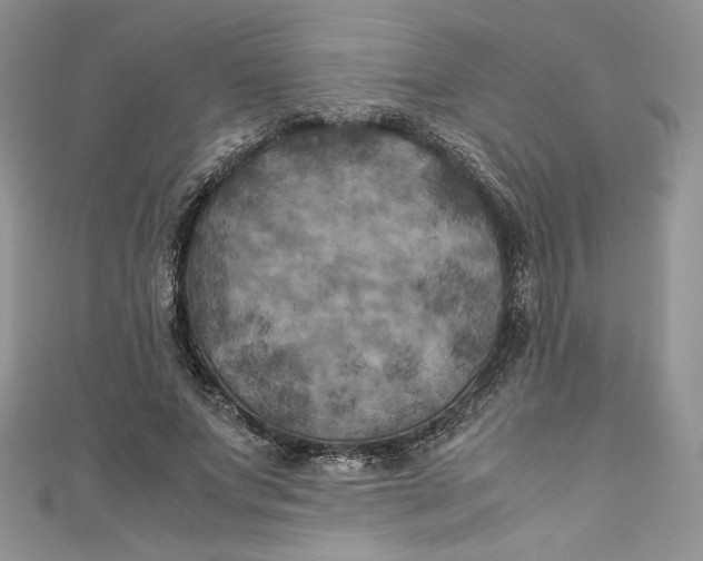 X0000111010687200907060956